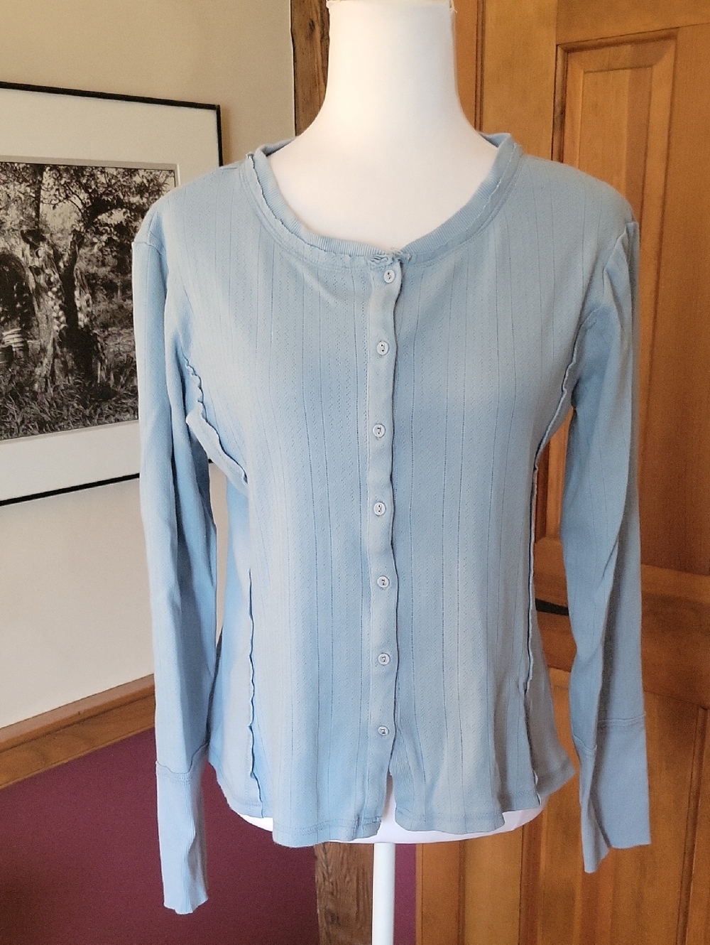 SUNDANCE Light Blue Button-Front Long Sleeve Cotton Top